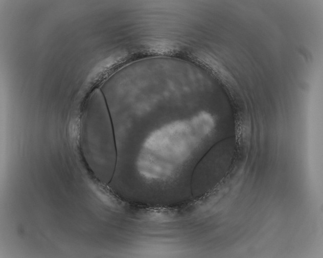 X0000113160736200910021501