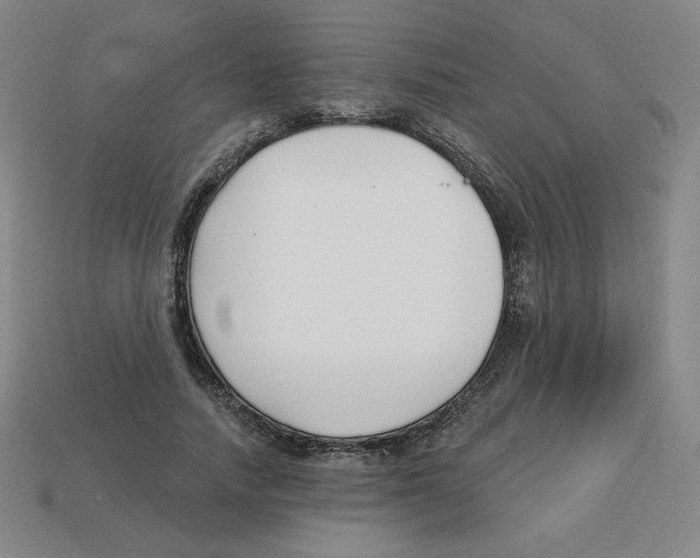 X0000113160738200910021501