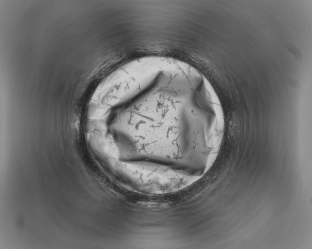 X0000113160739200910021501