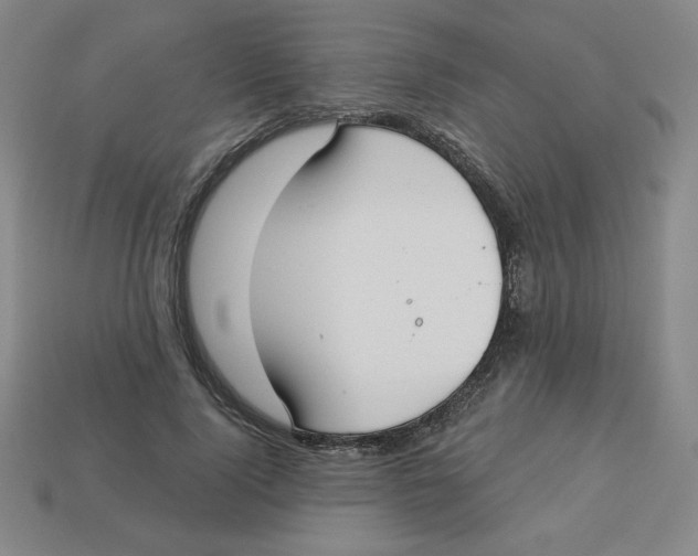 X0000113160740200910021501