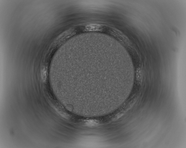 X0000113160741200910021501