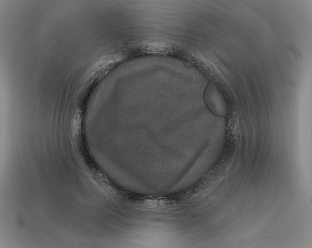 X0000113160744200910021501