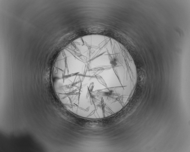 X0000113160745200910021501