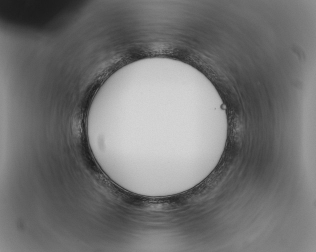 X0000113160746200910021501