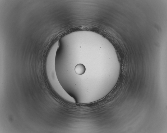 X0000113160748200910021501