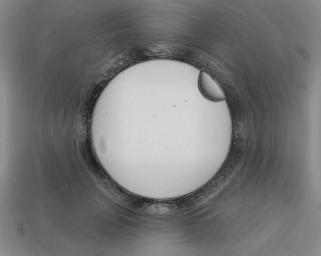 X0000113160751200910021501