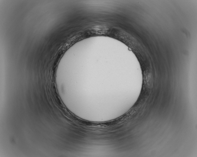 X0000113160752200910021501