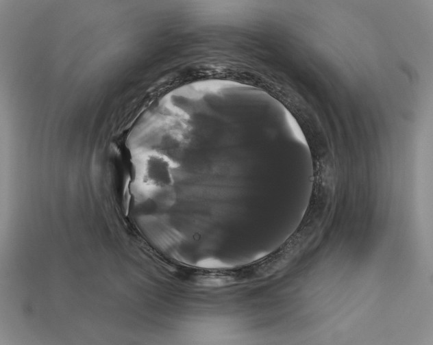 X0000113160754200910021501