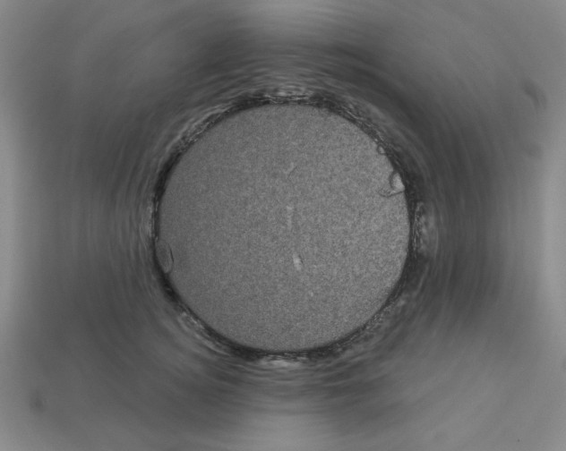 X0000113160756200910021501