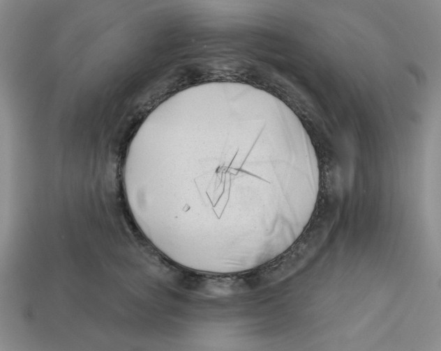 X0000113160757200910021501