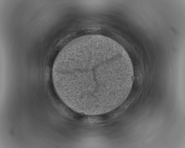 X0000113160758200910021501