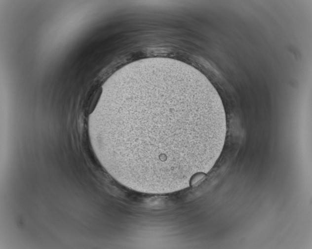 X0000113160761200910021501