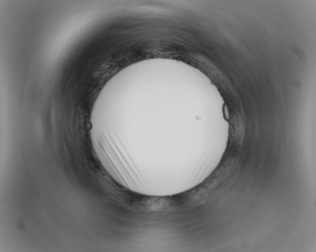 X0000113160762200910021501