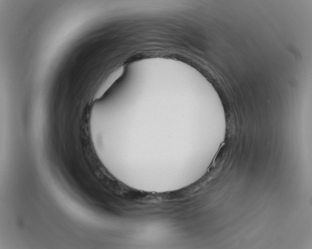 X0000113160764200910021501