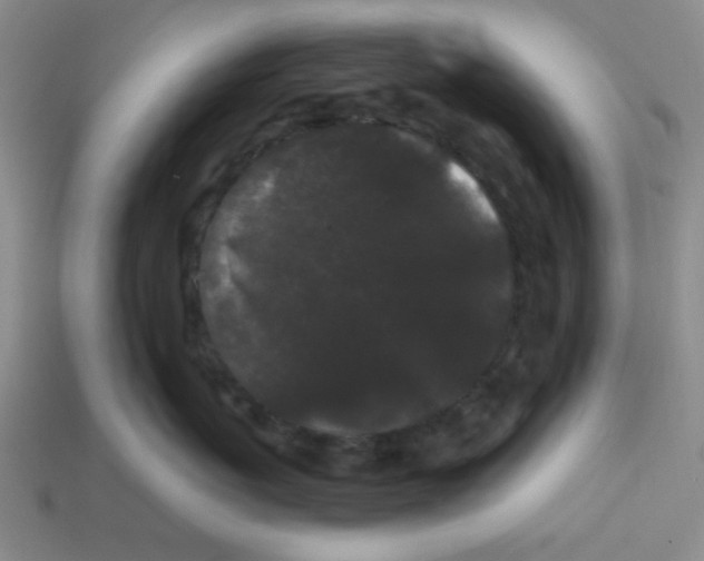 X0000113160767200910021501