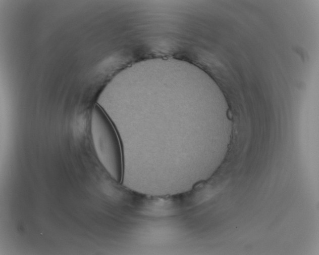 X0000113160768200910021501