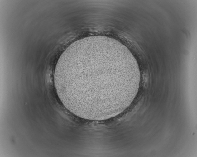 X0000113160770200910021500