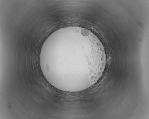 X0000113160772200910021500