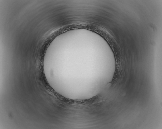 X0000113160773200910021500