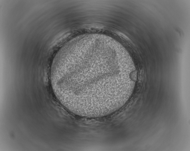 X0000113160774200910021500