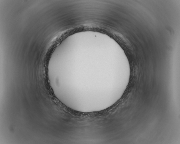 X0000113160776200910021500