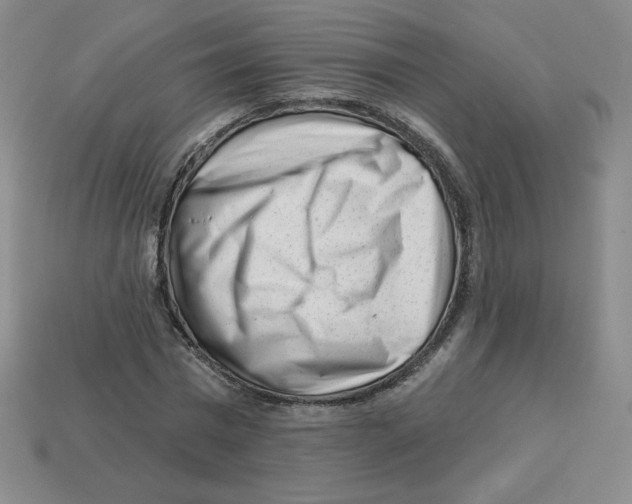 X0000113160777200910021500