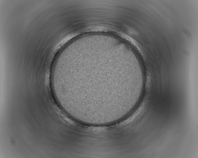 X0000113160778200910021500