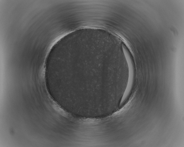 X0000113160779200910021500