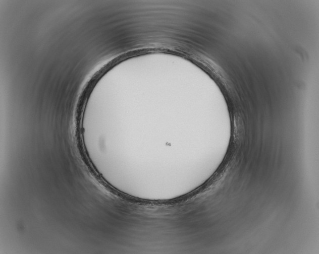 X0000113160780200910021500