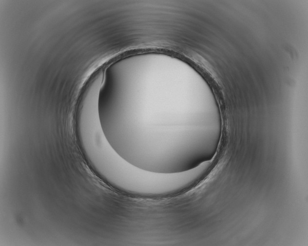 X0000113160781200910021500