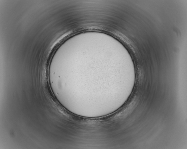 X0000113160782200910021500