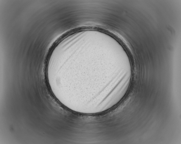 X0000113160783200910021500