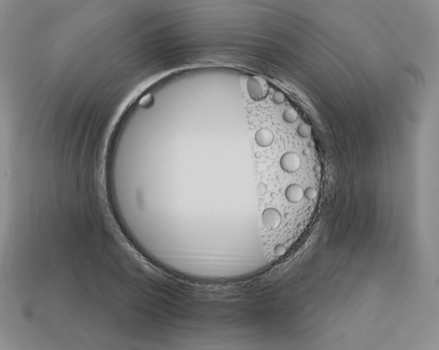 X0000113160784200910021500