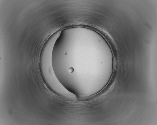 X0000113160785200910021500