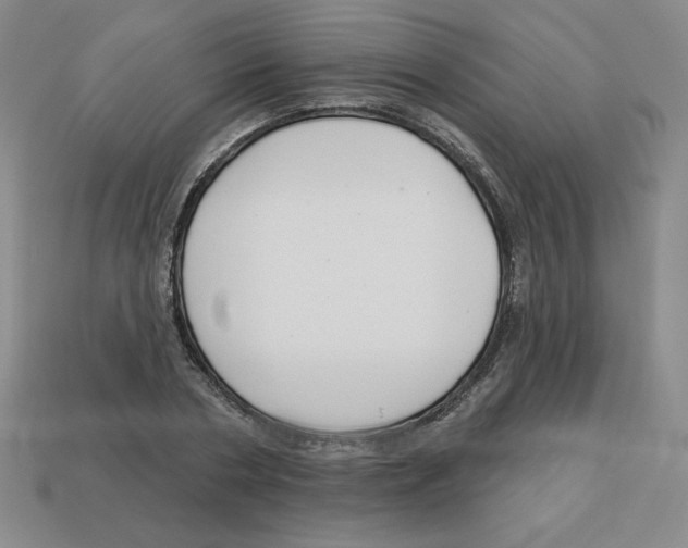 X0000113160786200910021500