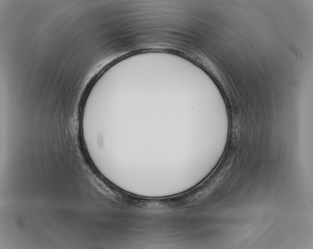 X0000113160787200910021500