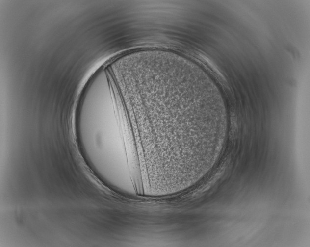 X0000113160788200910021500