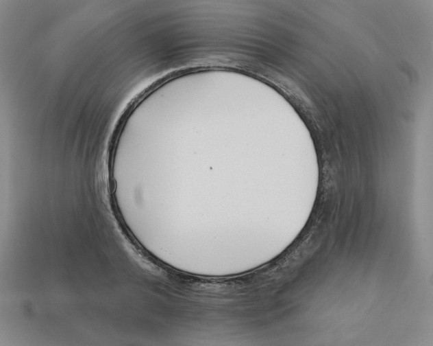 X0000113160792200910021500