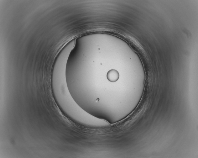 X0000113160793200910021500