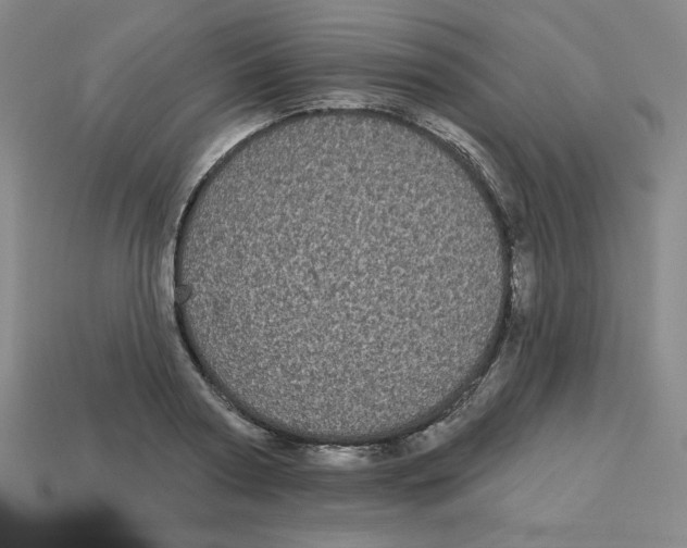 X0000113160794200910021500