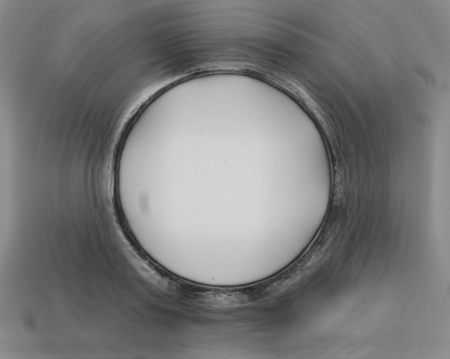 X0000113160795200910021500