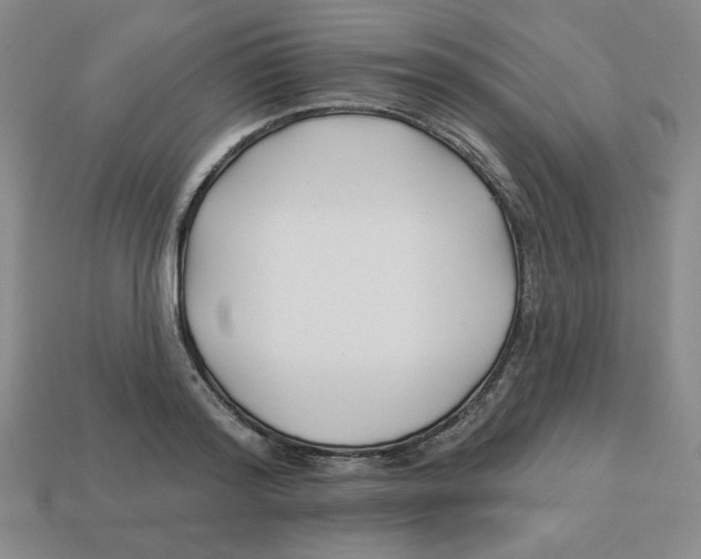 X0000113160796200910021500