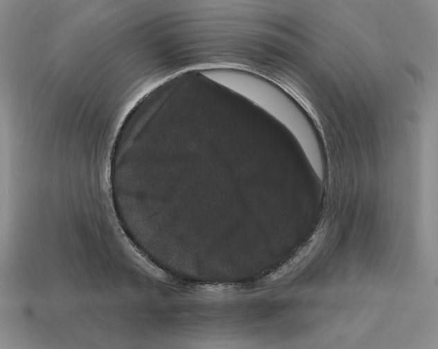 X0000113160797200910021500