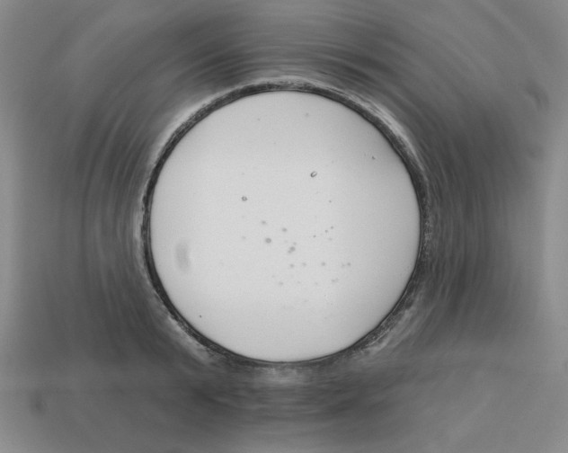 X0000113160799200910021500