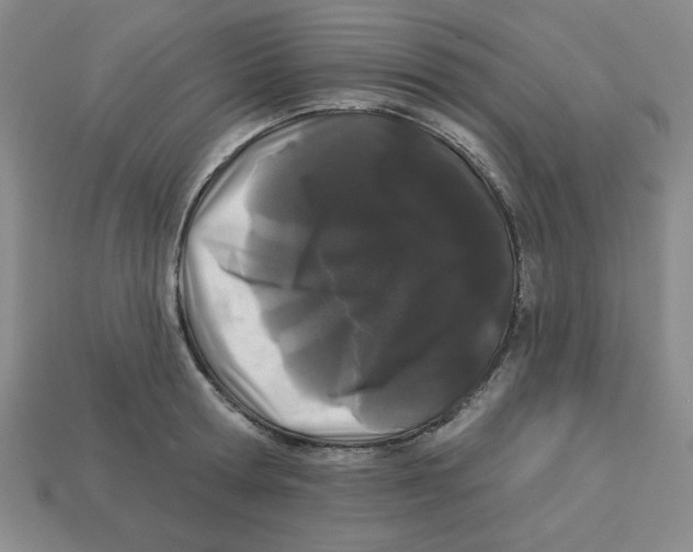 X0000113160802200910021500