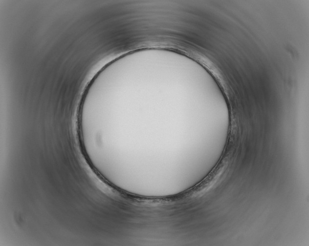 X0000113160803200910021500