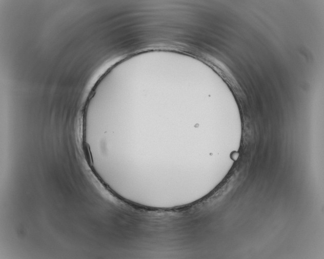 X0000113160804200910021500