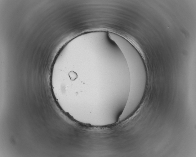 X0000113160805200910021500