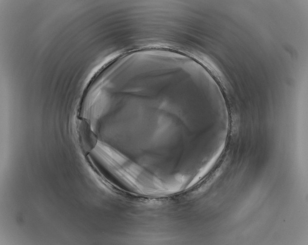 X0000113160806200910021500