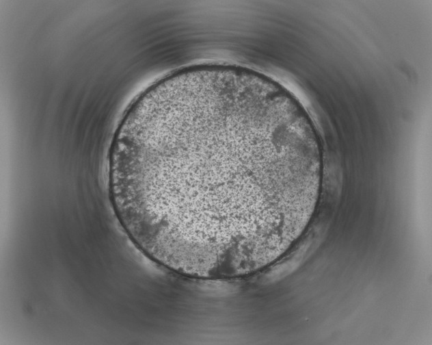 X0000113160807200910021500